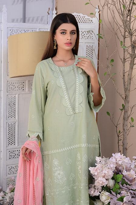 Full Embroidered Light Green Lawn Suit - AAHANG