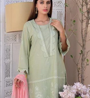 Full Embroidered Light Green Lawn Suit - AAHANG