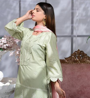 Full Embroidered Light Green Lawn Suit - AAHANG