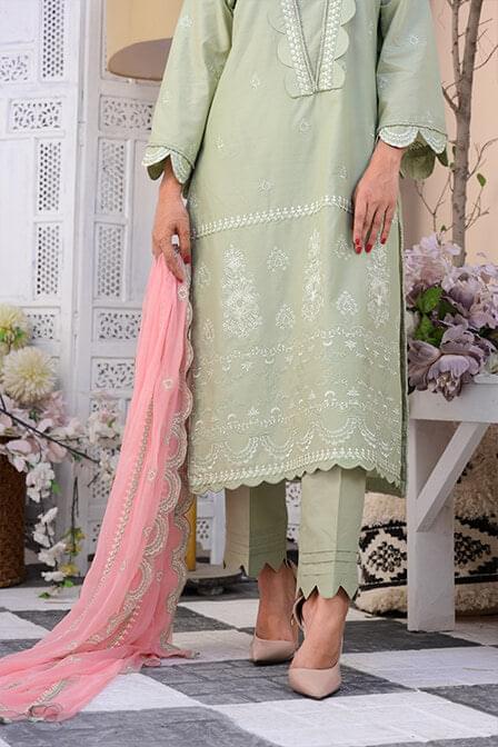 Full Embroidered Light Green Lawn Suit - AAHANG